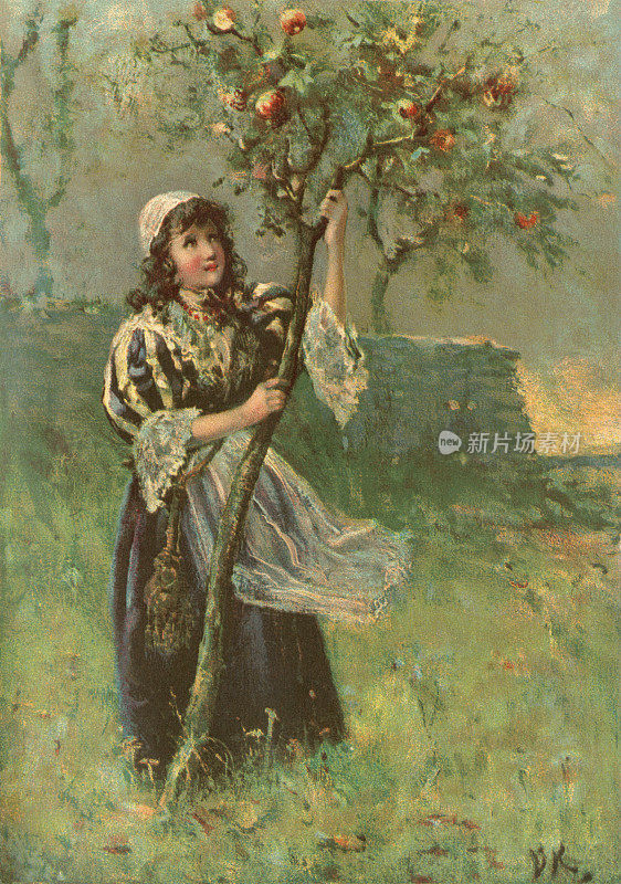 年轻的女孩摇晃着一棵苹果树，想摘取它的果实