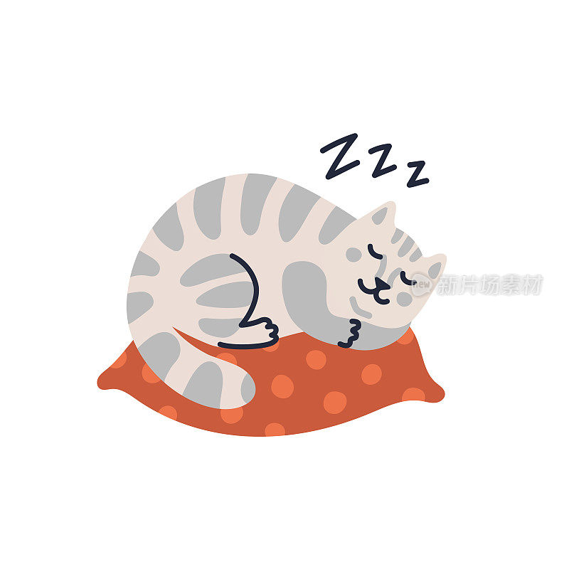 矢量猫插图，可爱的虎斑小猫睡在枕头上。矢量插图在平面卡通风格的白色背景