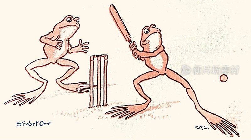 两只青蛙打板球