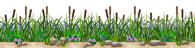 芦苇在草与花，沙地和岩石，河流或湖泊海岸线。夏季草原景观绿意盎然，图案无缝重复。矢量图