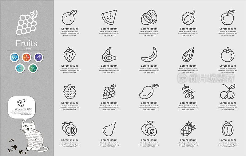 水果线条图标内容信息图