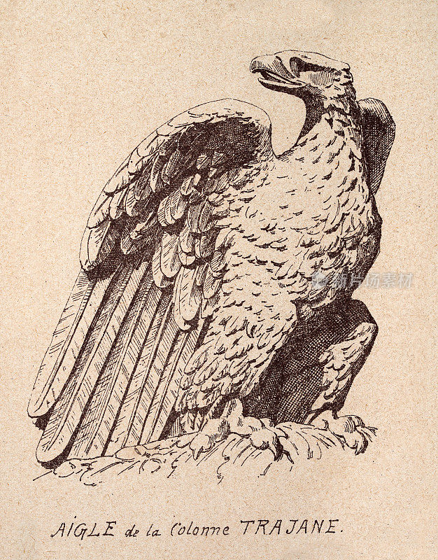一个罗马鹰的素描，在图拉真柱的雕像后，艺术版画