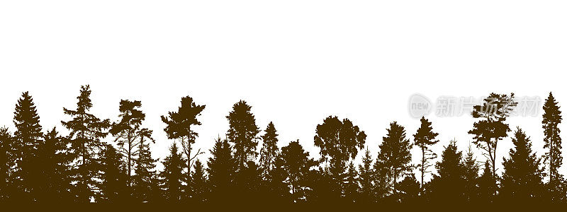 美丽的森林全景，冷杉，松树和不同的落叶树木的剪影。矢量插图。
