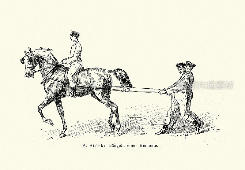 19世纪，德国，维多利亚时代，驯马方法的古插图