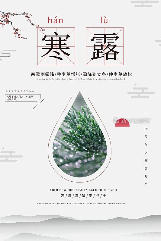 简约中国风寒露二十四节气海报