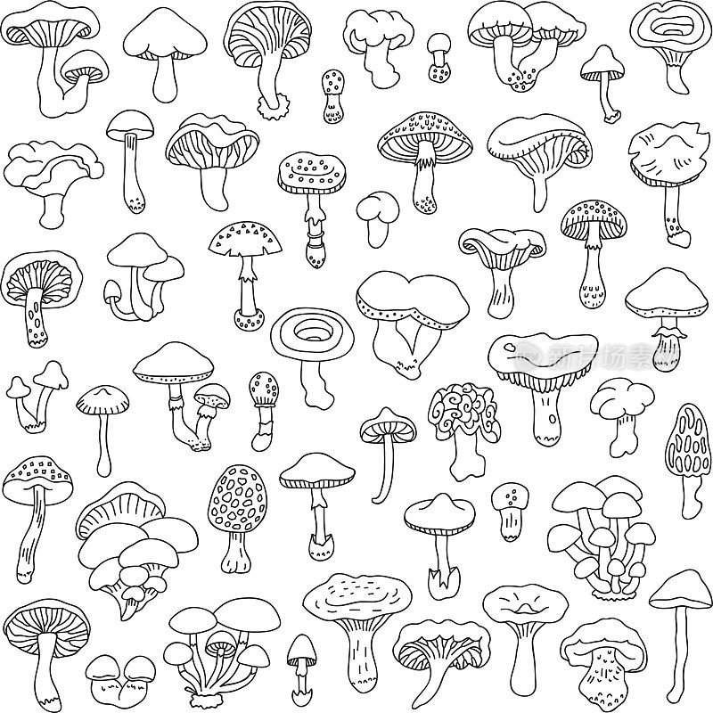 一套矢量手绘，涂鸦蘑菇。