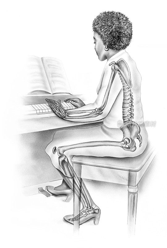 骨骼-一个正在弹钢琴的女人的骨骼结构