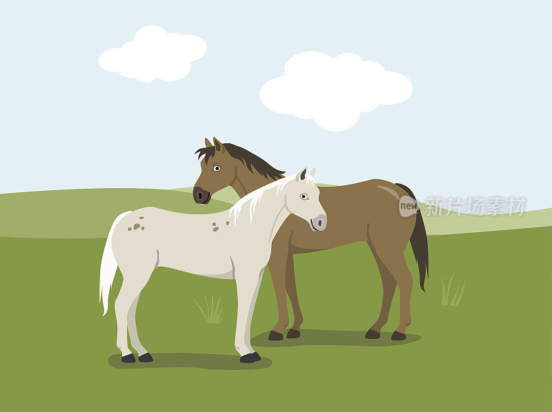 两匹马站在草地矢量卡通插图