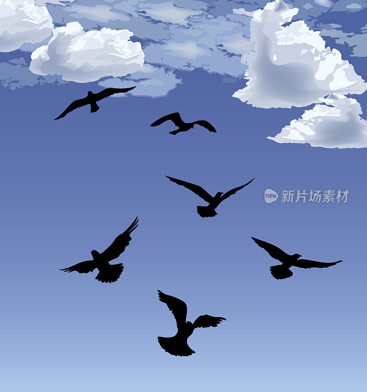 鸟群飞翔，蓝天为背景。动物野生动物