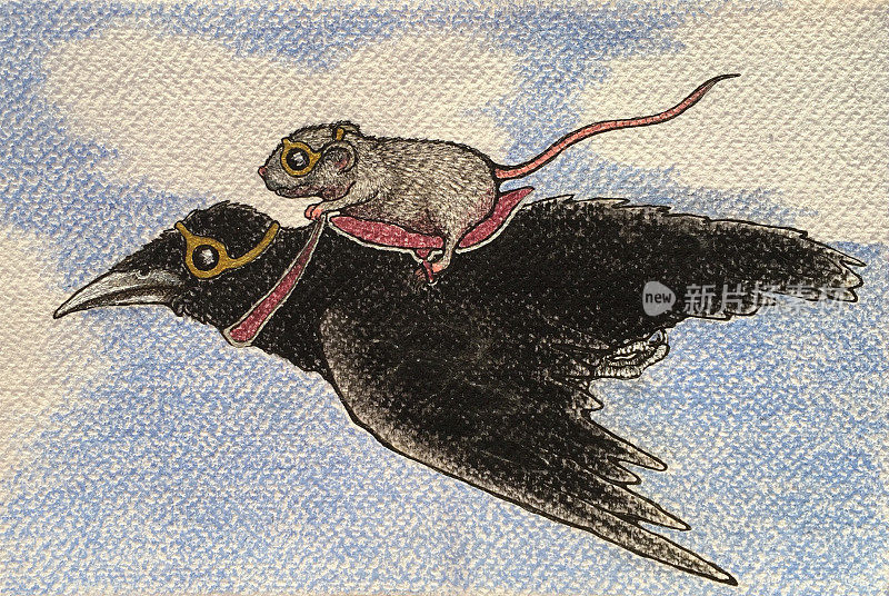 老鼠骑着乌鸦穿过天空