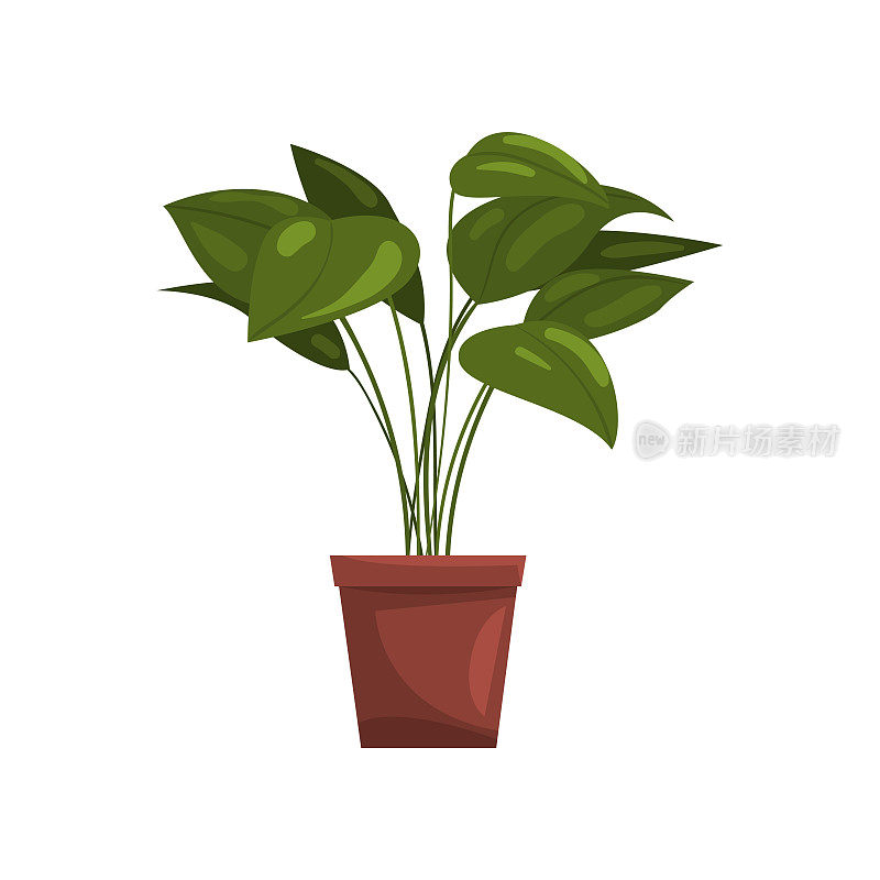室内植物在棕色的花盆，元素装饰家庭内部矢量插图上的白色背景