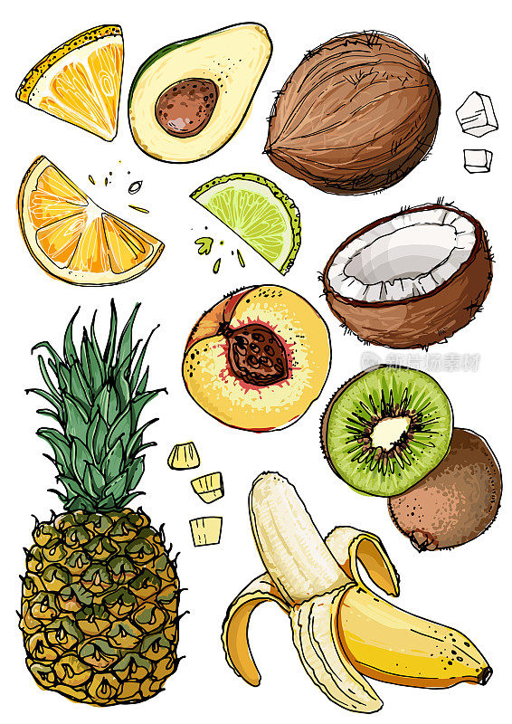 的水果。新鲜食物。菠萝，椰子，桃子，猕猴桃，鳄梨，柠檬，橙子，香蕉色线在白色的背景上画。矢量插图。