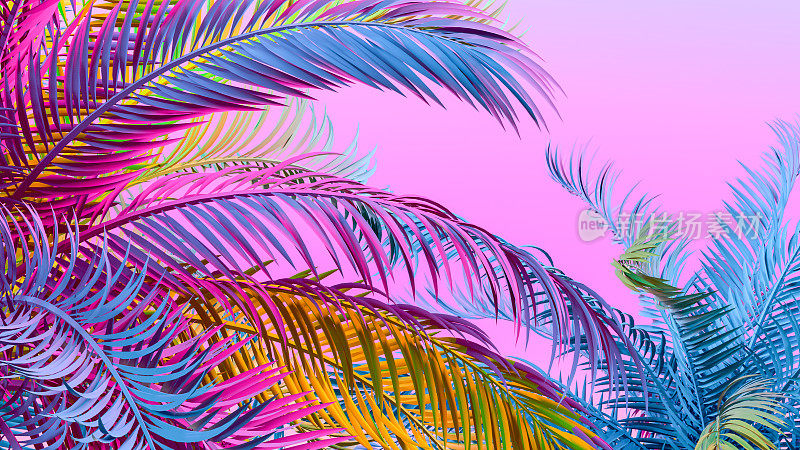 棕榈树颜色梯度，多色的夏季概念