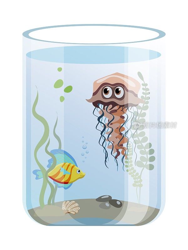 圆柱形水族箱，色彩斑斓的鱼、水母、海藻，孤立在白色的背景上