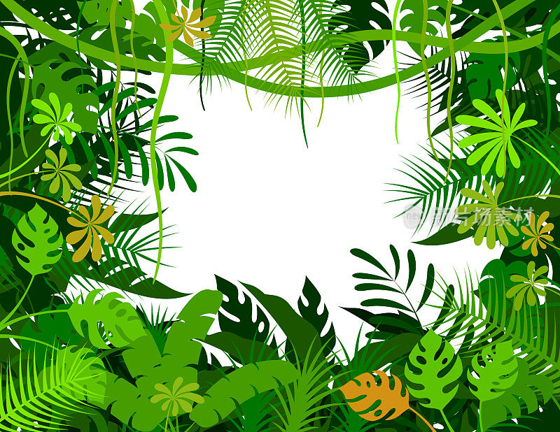 热带雨林的背景。丛林框架海报。