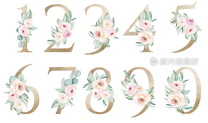 淡金色数字与水彩玫瑰和叶子。粉彩花卉字母表
