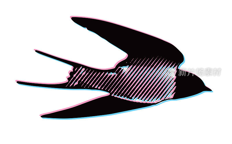 一只谷仓燕子飞行的立体插图
