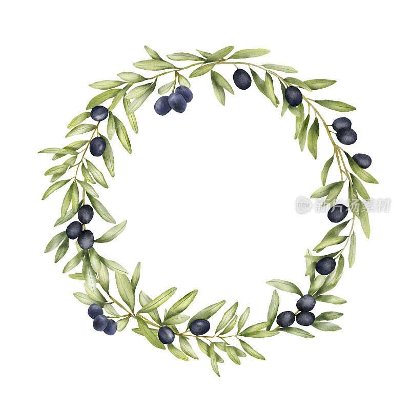 圆形花环与黑色橄榄枝水彩画。手绘框架与橄榄叶孤立的白色背景。地中海美食
