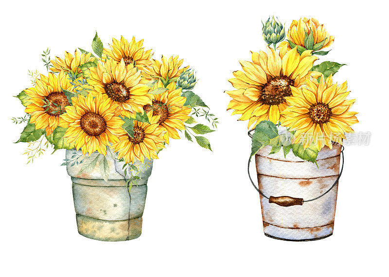 水彩向日葵花束，手绘向日葵花束与绿色植物，向日葵插花。向日葵农舍装饰。水彩花卉。植物绘画。白色背景。