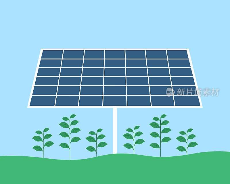太阳能电池板和粮食作物的农业光伏系统
