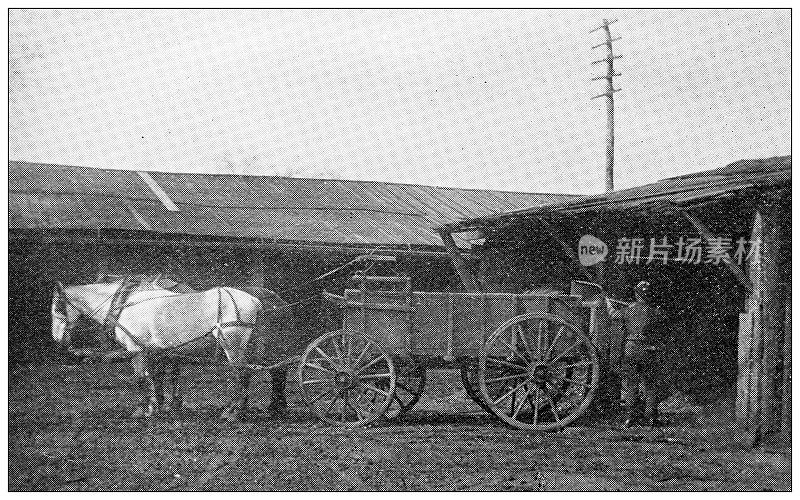 汉普顿县,马萨诸塞州:斯普林菲尔德的古董图像