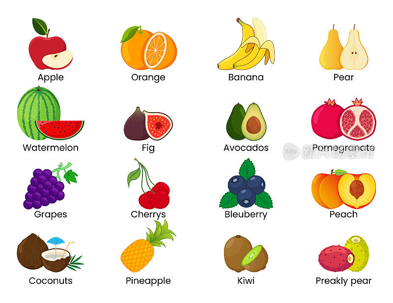 水果插图集。