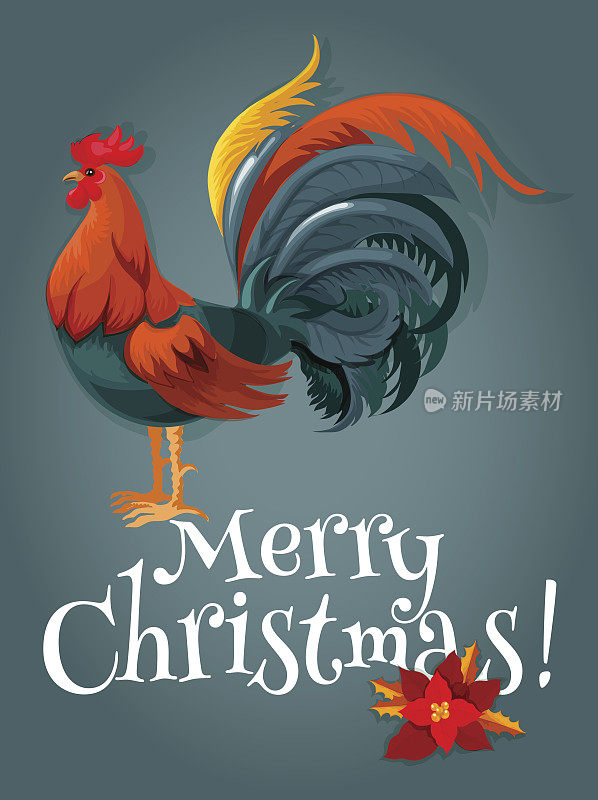 圣诞和新年贺卡与火红色的公鸡