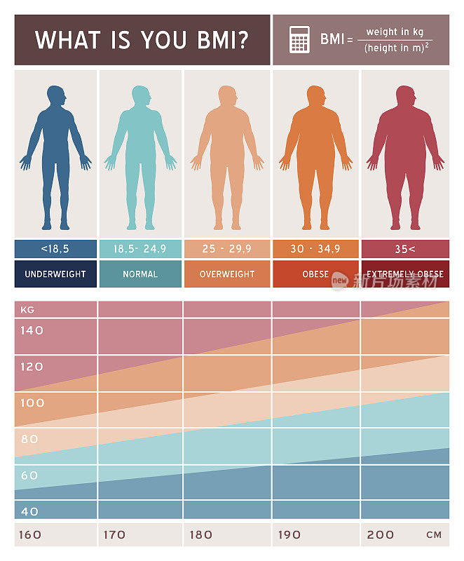 身体质量指数信息图表