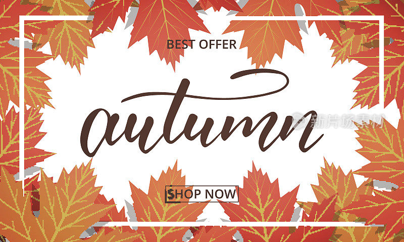 秋季促销横幅。背景与枫叶框架和时尚的秋天笔刷字母。秋季季节促销卡