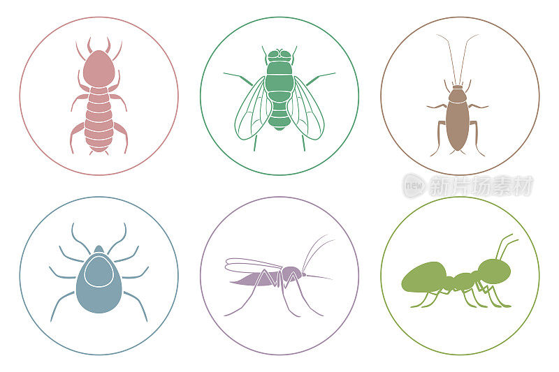 蟑螂，白蚁，蚊子，苍蝇，蚂蚁和蜱图标。向量