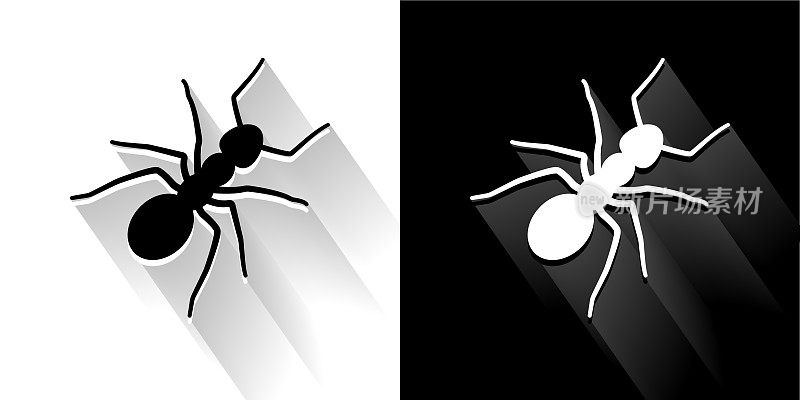 蚂蚁黑色和白色图标与长影子