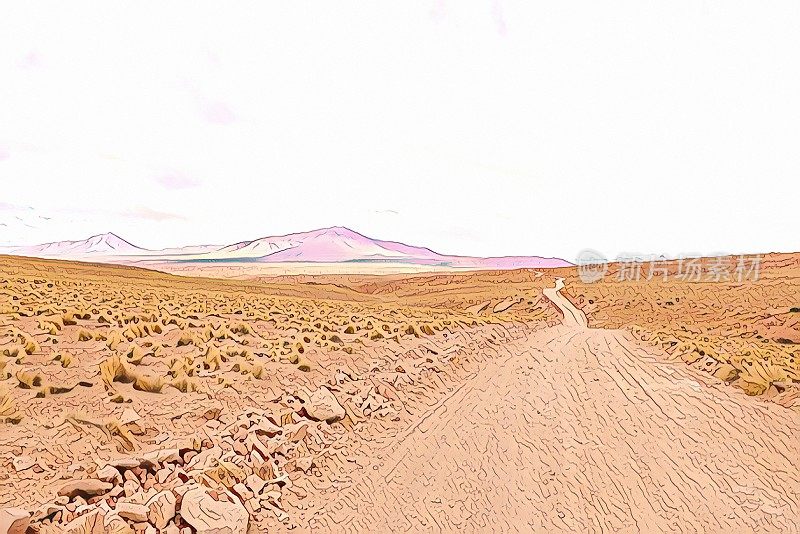 这条路的美丽景色。通往山区的崎岖不平的山路。南美洲玻利维亚山区的公路