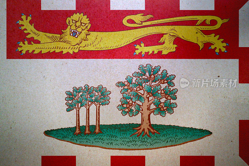 印在纸上的爱德华王子岛的旗帜