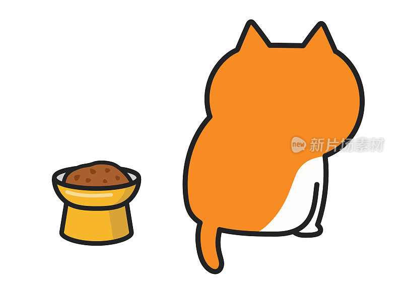 猫拿着抬高的碗没有胃口。