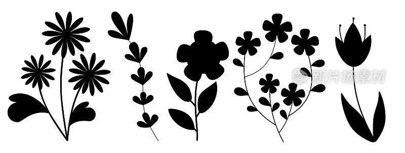 轮廓花集合