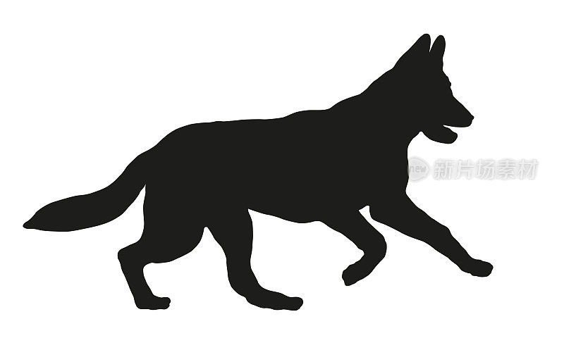 黑狗轮廓。奔跑和跳跃的东欧牧羊犬小狗。宠物的动物。孤立在白色背景上。