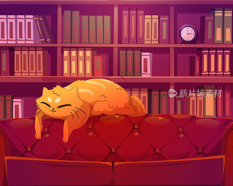 有趣的猫睡在图书馆内部的沙发上