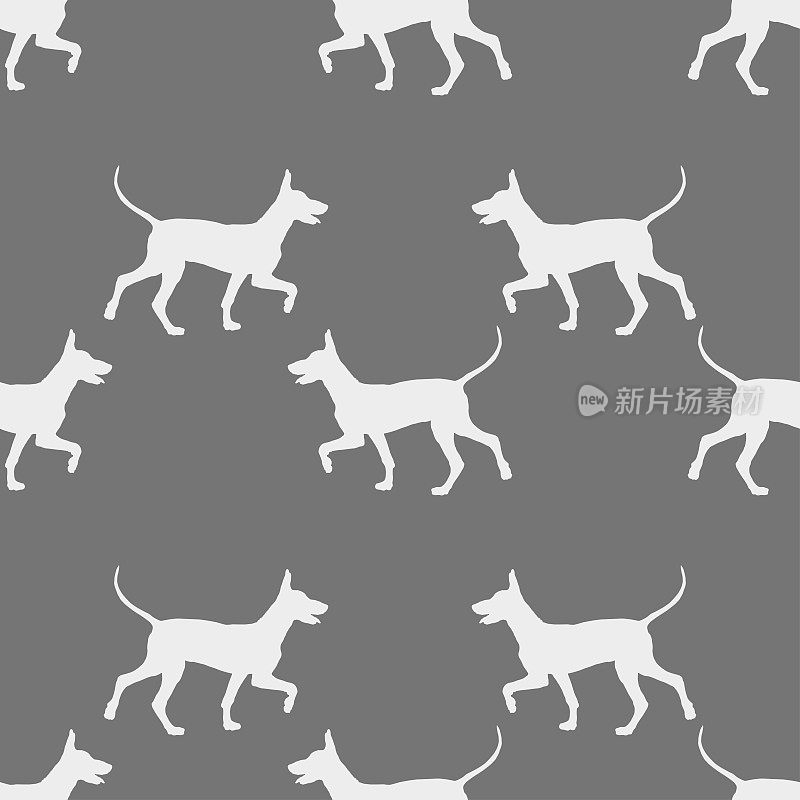 无缝模式。行走的墨西哥无毛狗幼犬孤立在灰色背景。狗的剪影。无尽的纹理。壁纸、模板设计。