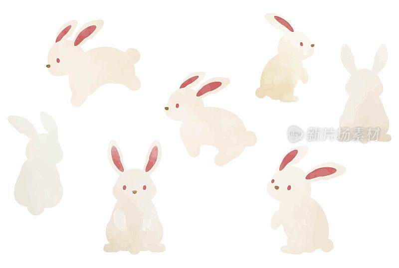 可爱兔子套装插图