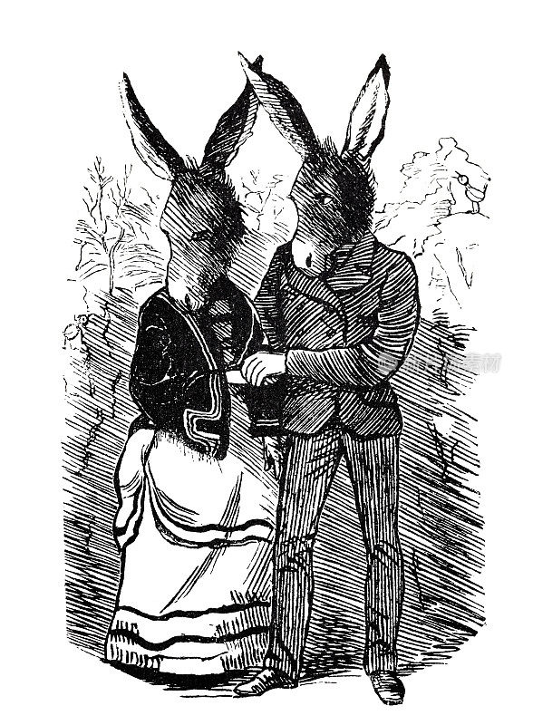 相爱的兔子夫妇