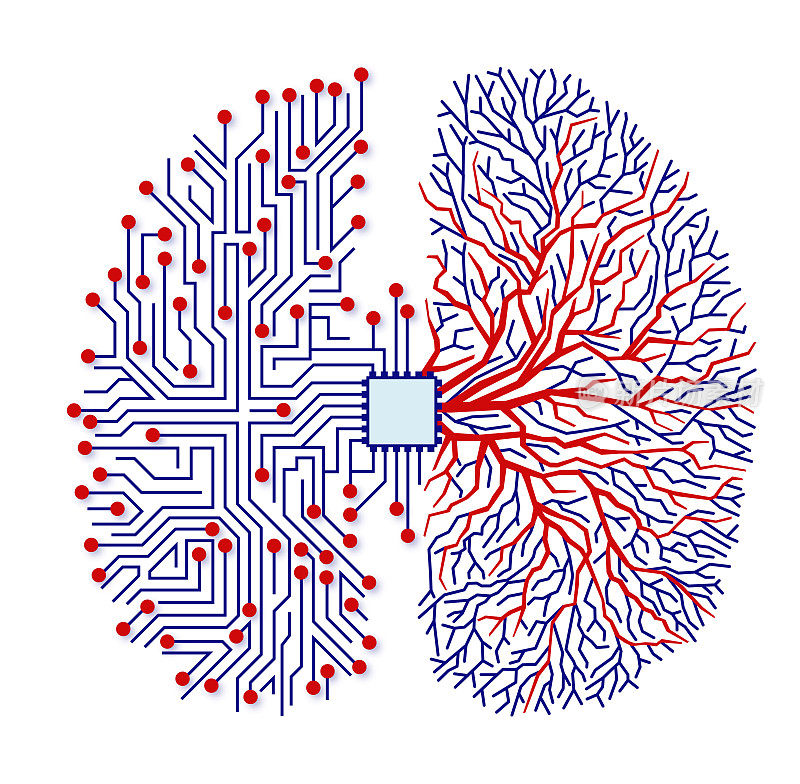 人脑的方案用电路板和芯片作为大脑解剖隔离在白色