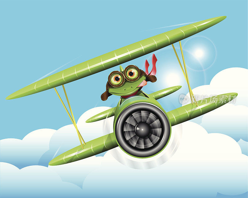 青蛙的飞行员