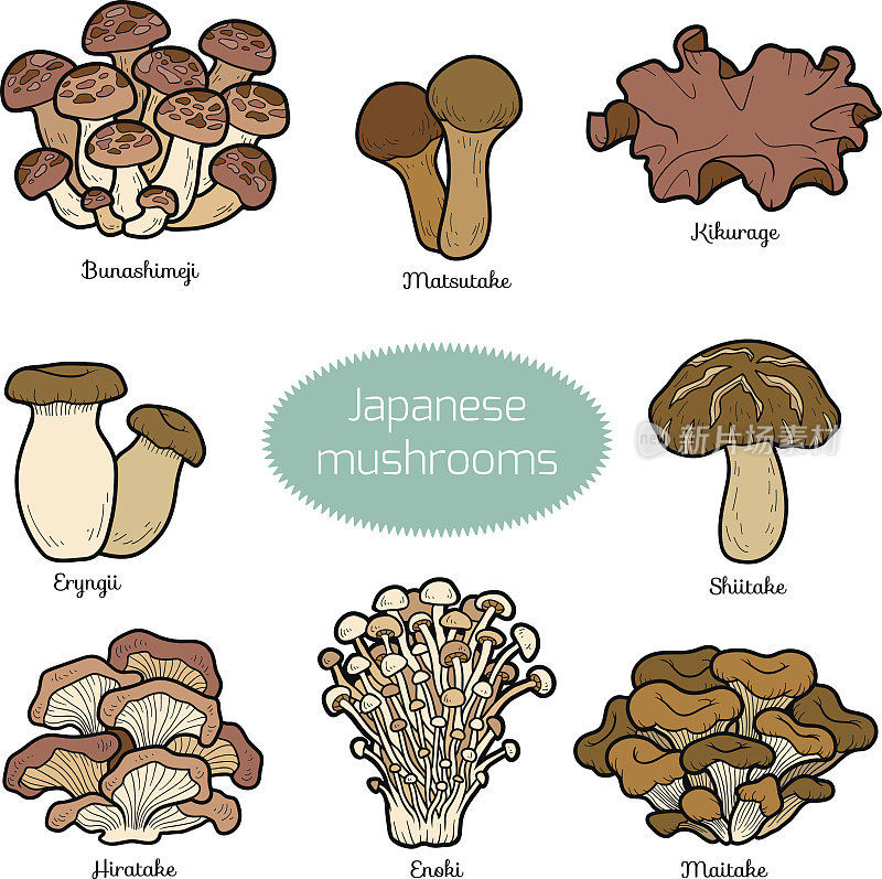 日本蘑菇套装