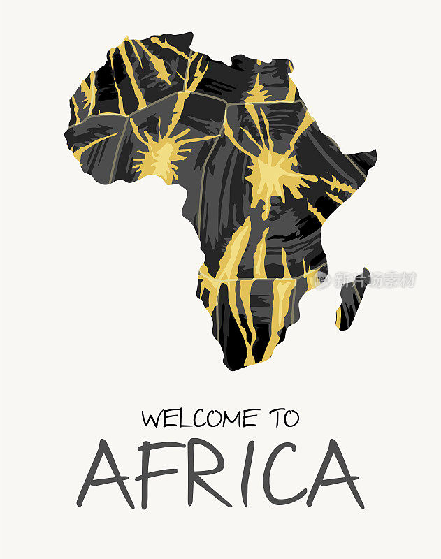 非洲辐射龟图插图