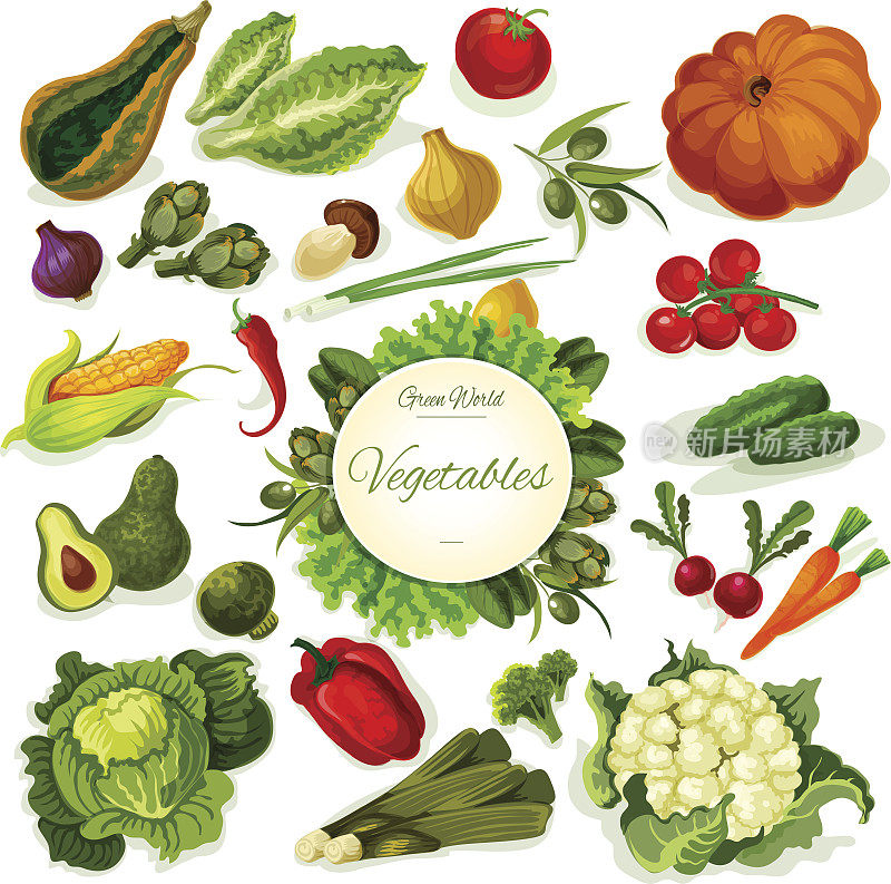 蔬菜素食物载体海报