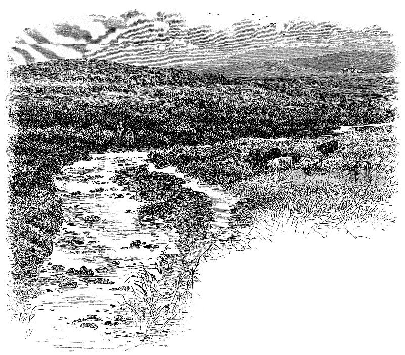 英格兰达特穆尔的普利姆河――19世纪