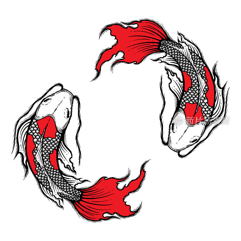 手绘轮廓锦鲤鱼矢量插图，纹身设计，日本风格，线条艺术水墨作品，动物野生动物。