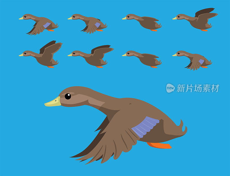 美国黑鸭飞行动画序列卡通向量