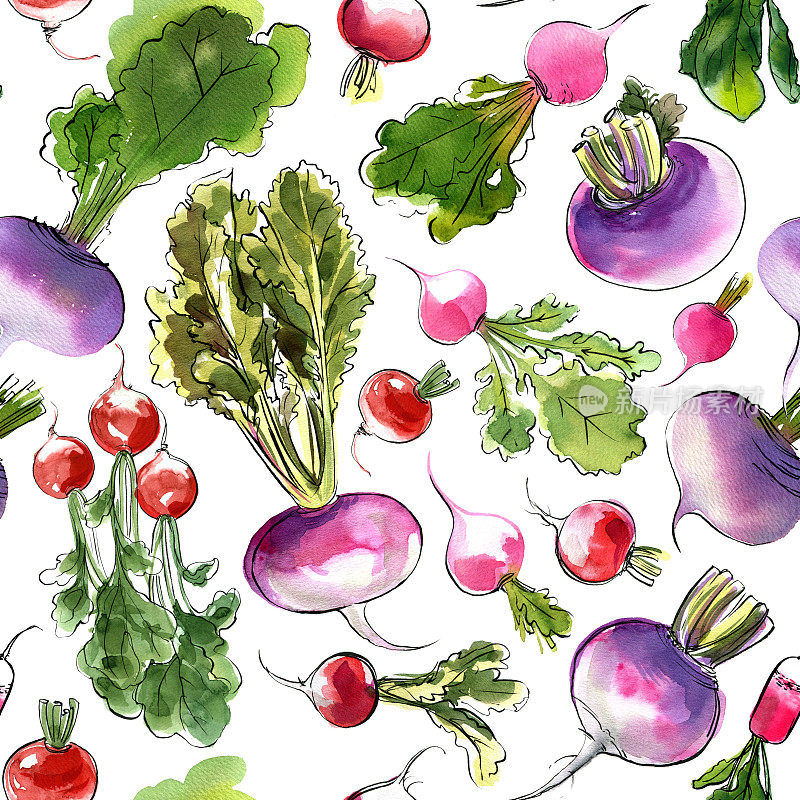 图案蔬菜画水彩在白色的背景。番茄，洋葱，萝卜，辣椒粉，香料和香草。彩色蔬菜和香草。素食主义，农耕，食物素描。