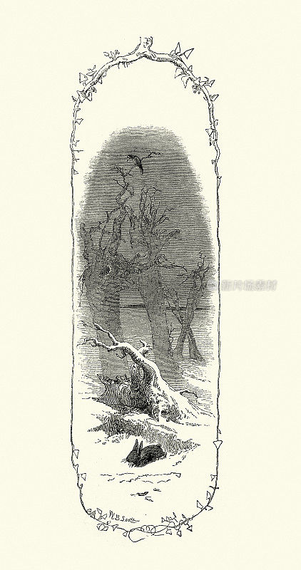 在寒冷的冬天，乌鸦坐在树上看着兔子，这是维多利亚19世纪的艺术作品
